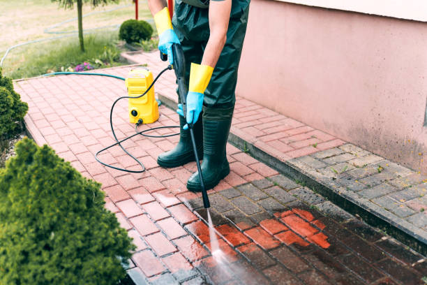Best Animal Enclosure Cleaning  in Vaville, CA