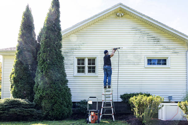 Best Sidewalk and Walkway Cleaning  in Vaville, CA